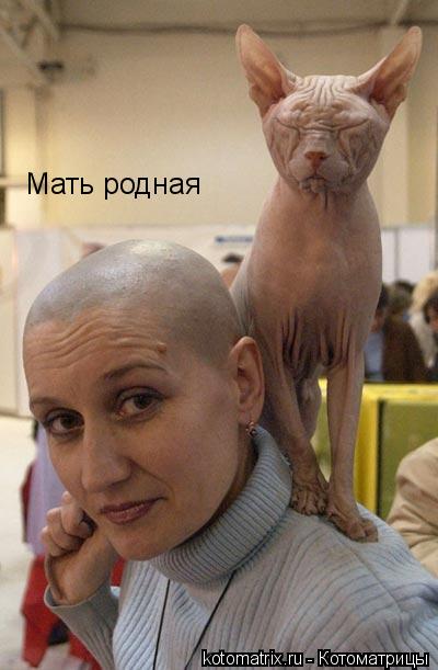 Мать родная... Котоматрица: Мать родная