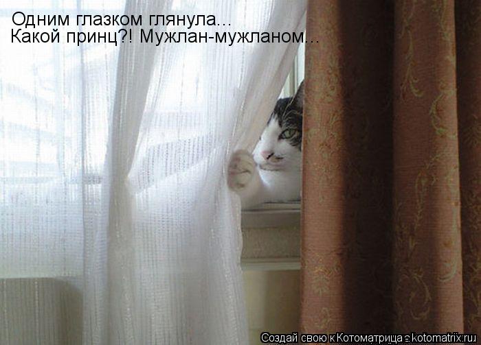 Одним глазком глянула... Какой принц?! Мужлан-мужланом...... Котоматрица: Одним глазком глянула... Какой принц?! Мужлан-мужланом...