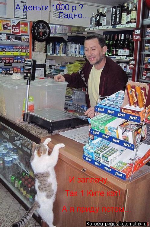 Так 1 Ките кэт! Ладно... А деньги 1000 р.? А я приду потом... И заплачу..... Котоматрица: Так 1 Ките кэт! Ладно... А деньги 1000 р.? А я приду потом... И заплачу..