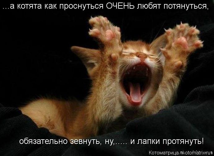 Котоматрица: ...а котята как проснуться ОЧЕНЬ любят потянуться,  обязательно зевнуть, ну,..... и лапки протянуть!