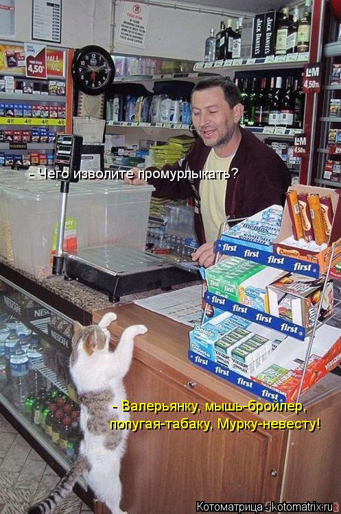 - Чего изволите промурлыкать? - Валерьянку, мышь-бройлер, попугая-табаку, Мурку-невесту!... Котоматрица: - Чего изволите промурлыкать? - Валерьянку, мышь-бройлер, попугая-табаку, Мурку-невесту!