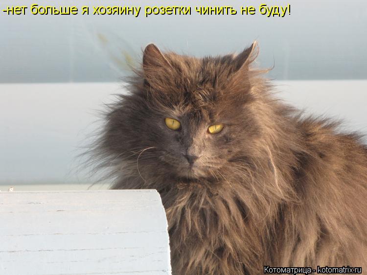 -нет больше я хозяину розетки чинить не буду!... Котоматрица: -нет больше я хозяину розетки чинить не буду!