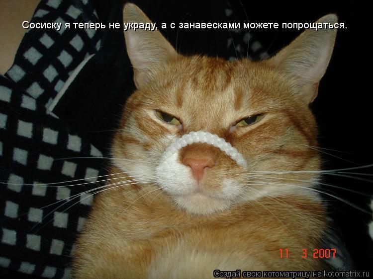 Сосиску я теперь не украду, а с занавесками можете попрощаться.... Котоматрица: Сосиску я теперь не украду, а с занавесками можете попрощаться.