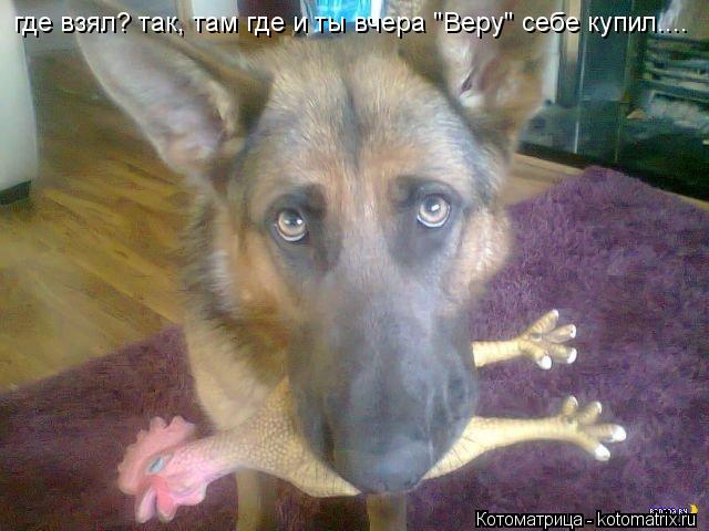 где взял? так, там где и ты вчера "Веру" себе купил....... Котоматрица: где взял? так, там где и ты вчера "Веру" себе купил....