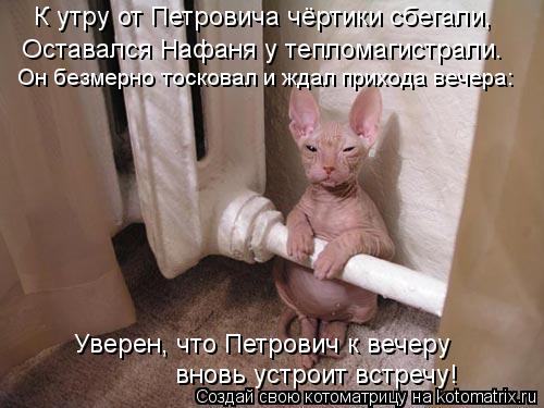 Он безмерно тосковал и ждал прихода вечера: К утру от Петровича чёртики сбегали, Оставался Нафаня у т... Котоматрица: Он безмерно тосковал и ждал прихода вечера: К утру от Петровича чёртики сбегали, Оставался Нафаня у тепломагистрали. Уверен, что Петрович к