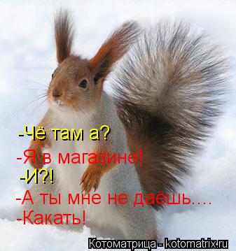 -Чё там а? -Я в магазине! -И?! -А ты мне не даёшь.... -Какать!... Котоматрица: -Чё там а? -Я в магазине! -И?! -А ты мне не даёшь.... -Какать!