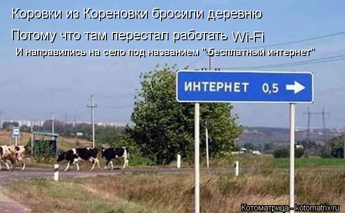 Потому что там перестал работать Коровки из Кореновки бросили деревню Wi-Fi И направились на село п... Котоматрица: Потому что там перестал работать Коровки из Кореновки бросили деревню Wi-Fi И направились на село под названием " бесплатный интернет"