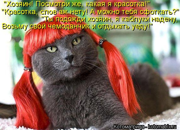 "Хозяин! Посмотри же, какая я красотка!" "Красотка, слов аж нету! А можно тебя сфоткать?" "Ты подожди... Котоматрица: "Хозяин! Посмотри же, какая я красотка!" "Красотка, слов аж нету! А можно тебя сфоткать?" "Ты подожди хозяин, я каблуки надену, Возьму свой чемод