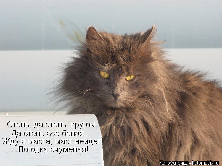 Степь, да степь, кругом, Да степь всё белая... Жду я марта, март нейдет! Погодка очумелая!... Котоматрица: Степь, да степь, кругом, Да степь всё белая... Жду я марта, март нейдет! Погодка очумелая!