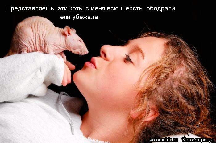 Представляешь, эти коты с меня всю шерсть ободрали ели убежала.... Котоматрица: Представляешь, эти коты с меня всю шерсть ободрали ели убежала.