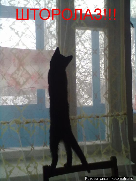 ШТОРОЛАЗ!!!... Котоматрица: ШТОРОЛАЗ!!!