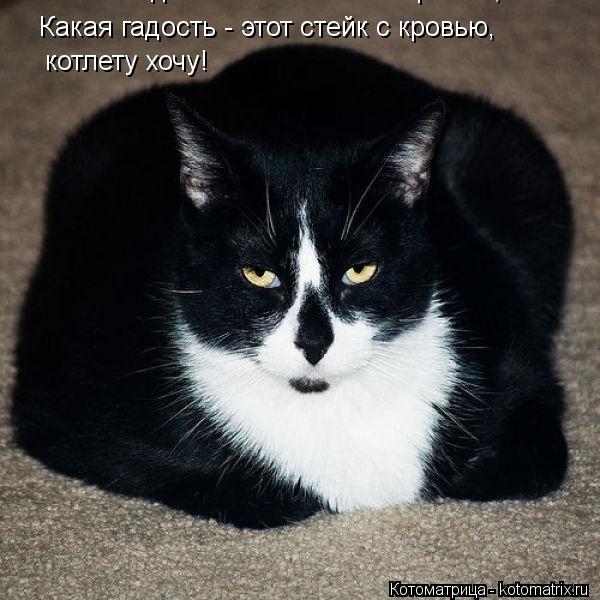 Какая гадость - этот стейк с кровью, Какая гадость - этот стейк с кровью, котлету хочу!... Котоматрица: Какая гадость - этот стейк с кровью, Какая гадость - этот стейк с кровью, котлету хочу!
