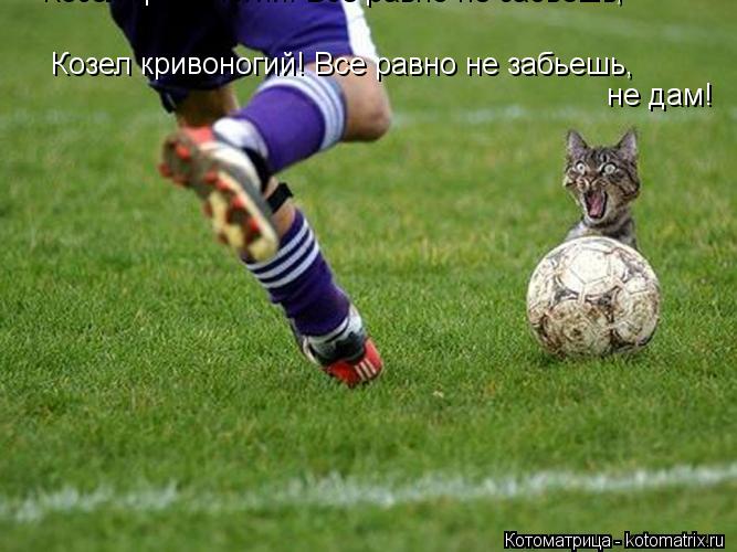 Козел кривоногий! Все равно не забьешь, Козел кривоногий! Все равно не забьешь, не дам!... Котоматрица: Козел кривоногий! Все равно не забьешь, Козел кривоногий! Все равно не забьешь, не дам!