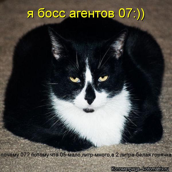 я босс агентов 07:)) почему 07? потому что 05-мало,литр-много,а 2 литра-белая горячка.... Котоматрица: я босс агентов 07:)) почему 07? потому что 05-мало,литр-много,а 2 литра-белая горячка.
