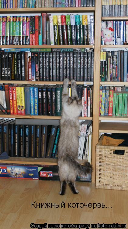 Книжный коточервь...... Котоматрица: Книжный коточервь...