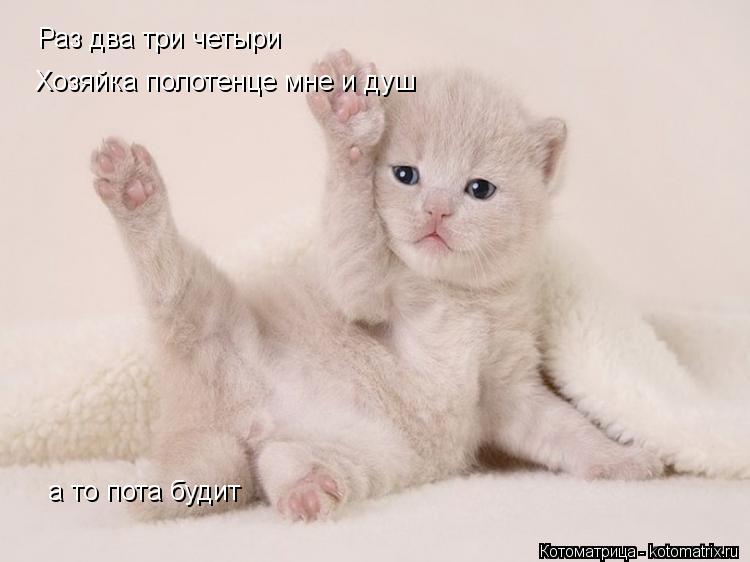 Раз два три четыри Хозяйка полотенце мне и душ а то пота будит... Котоматрица: Раз два три четыри Хозяйка полотенце мне и душ а то пота будит