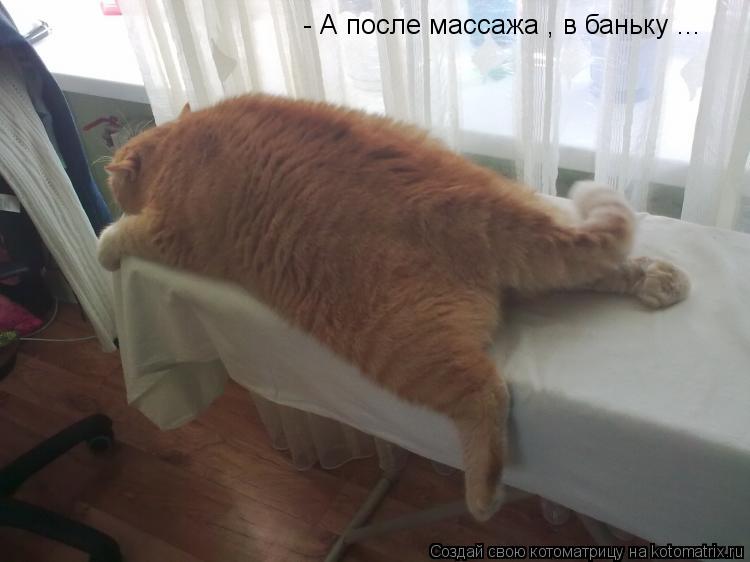 - А после массажа , в баньку ...... Котоматрица: - А после массажа , в баньку ...