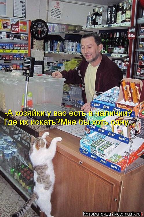 -А хозяйки у вас есть в наличии? Где их искать?Мне бы хоть одну...... Котоматрица: -А хозяйки у вас есть в наличии? Где их искать?Мне бы хоть одну...