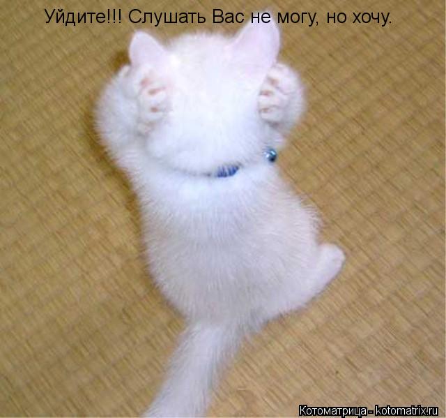 Уйдите!!! Слушать Вас не могу, но хочу.... Котоматрица: Уйдите!!! Слушать Вас не могу, но хочу.