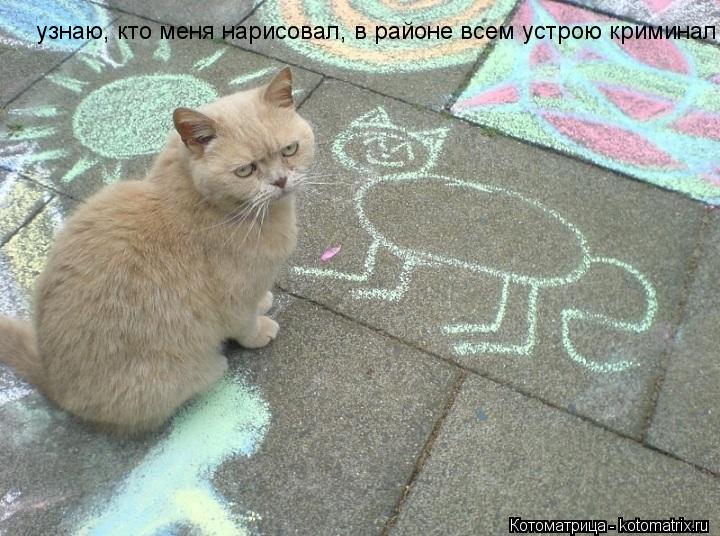 узнаю, кто меня нарисовал, в районе всем устрою криминал... Котоматрица: узнаю, кто меня нарисовал, в районе всем устрою криминал