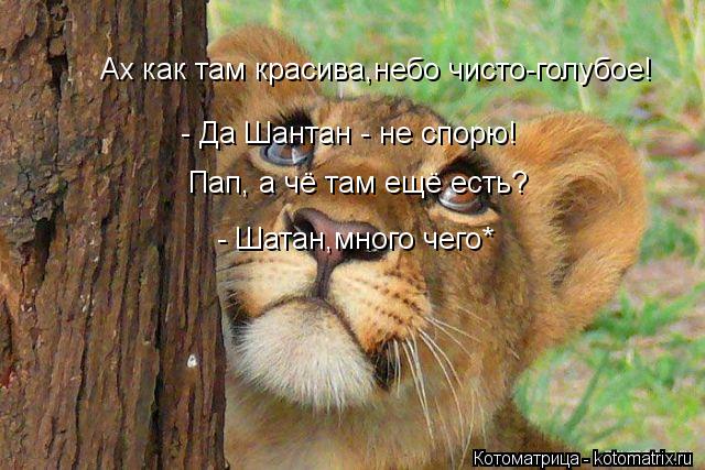 Ах как там красива,небо чисто-голубое,птички! Ах как там красива,небо чисто-голубое! - Да Шант... Котоматрица: Ах как там красива,небо чисто-голубое,птички! Ах как там красива,небо чисто-голубое! - Да Шантан - не спорю! Пап, а чё там ещё есть? - Шатан,м