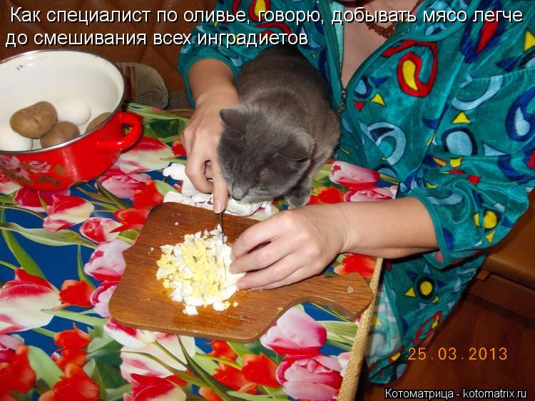 Как специалист по оливье, говорю, добывать мясо легче до смешивания всех инградиетов... Котоматрица: Как специалист по оливье, говорю, добывать мясо легче до смешивания всех инградиетов