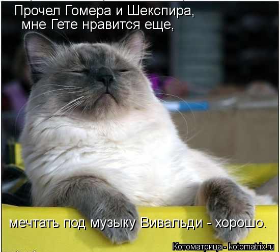 Прочел Гомера и Шекспира, Прочел Гомера и Шекспира, мне Гете нравится еще, мечтать под музыку Вивал... Котоматрица: Прочел Гомера и Шекспира, Прочел Гомера и Шекспира, мне Гете нравится еще, мечтать под музыку Вивальди - хорошо.