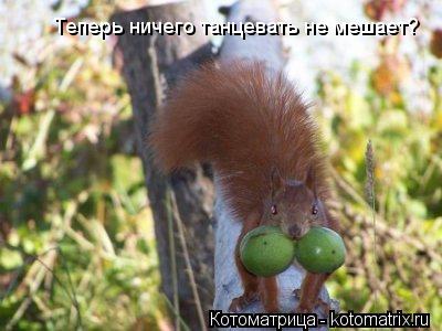 Теперь ничего танцевать не мешает?... Котоматрица: Теперь ничего танцевать не мешает?