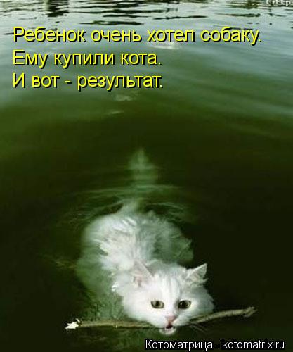 Ребенок очень хотел собаку. Ему купили кота. И вот - результат.... Котоматрица: Ребенок очень хотел собаку. Ему купили кота. И вот - результат.