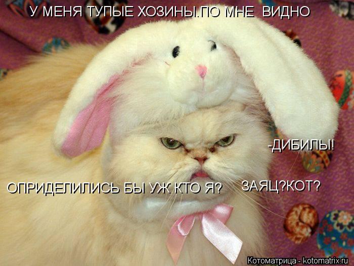 У МЕНЯ ТУПЫЕ ХОЗИНЫ.ПО МНЕ ВИДНО ОПРИДЕЛИЛИСЬ БЫ УЖ КТО Я? ЗАЯЦ?КОТ? -ДИБИЛЫ!... Котоматрица: У МЕНЯ ТУПЫЕ ХОЗИНЫ.ПО МНЕ ВИДНО ОПРИДЕЛИЛИСЬ БЫ УЖ КТО Я? ЗАЯЦ?КОТ? -ДИБИЛЫ!