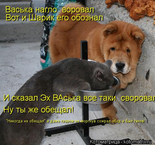 Васька нагло воровал Вот и Шарик его обознал Ну ты же обещал! И сказал Эх ВАська все таки своровал ... Котоматрица: Васька нагло воровал Вот и Шарик его обознал Ну ты же обещал! И сказал Эх ВАська все таки своровал "Никогда не обещал" и даже глазом не морг