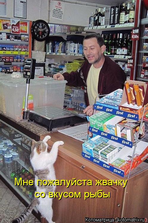 Мне пожалуйста жвачку со вкусом рыбы... Котоматрица: Мне пожалуйста жвачку со вкусом рыбы