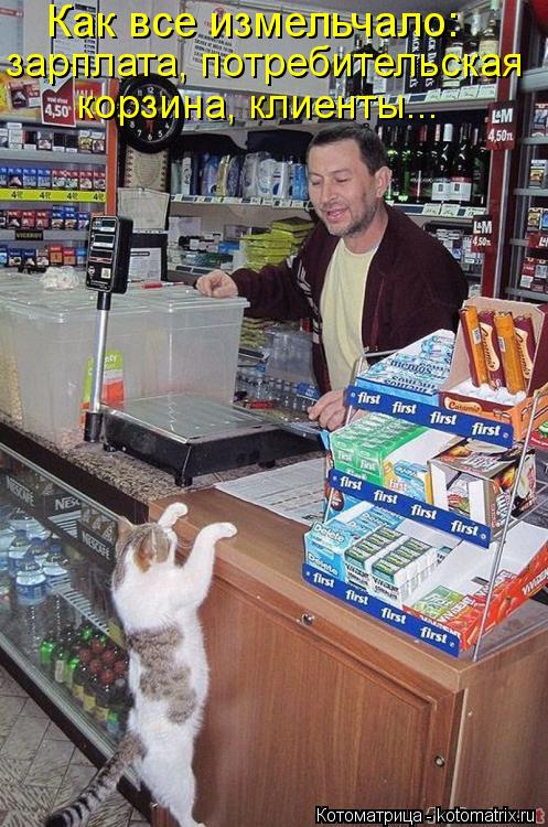 Как все измельчало: зарплата, потребительская корзина, клиенты...... Котоматрица: Как все измельчало: зарплата, потребительская корзина, клиенты...
