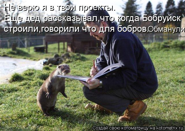 Не верю я в твои проекты. Еще дед рассказывал,что когда Бобруйск строили,говорили что для бобров. Об... Котоматрица: Не верю я в твои проекты. Еще дед рассказывал,что когда Бобруйск строили,говорили что для бобров. Обманули.