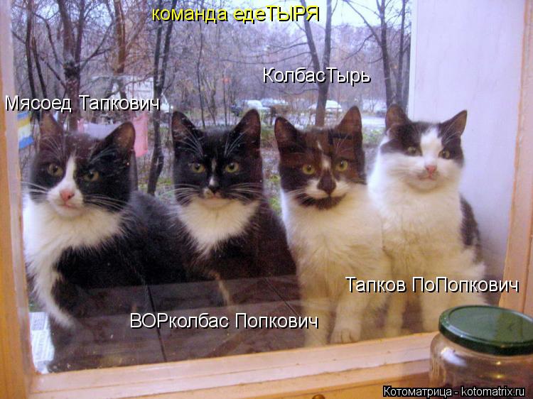 команда едеТЫРЯ Мясоед Тапкович ВОРколбас Попкович КолбасТырь Тапков ПоПопкович... Котоматрица: команда едеТЫРЯ Мясоед Тапкович ВОРколбас Попкович КолбасТырь Тапков ПоПопкович