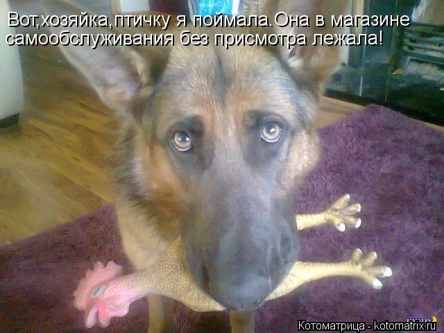 Вот,хозяйка,птичку я поймала.Она в магазине самообслуживания без присмотра лежала!... Котоматрица: Вот,хозяйка,птичку я поймала.Она в магазине самообслуживания без присмотра лежала!
