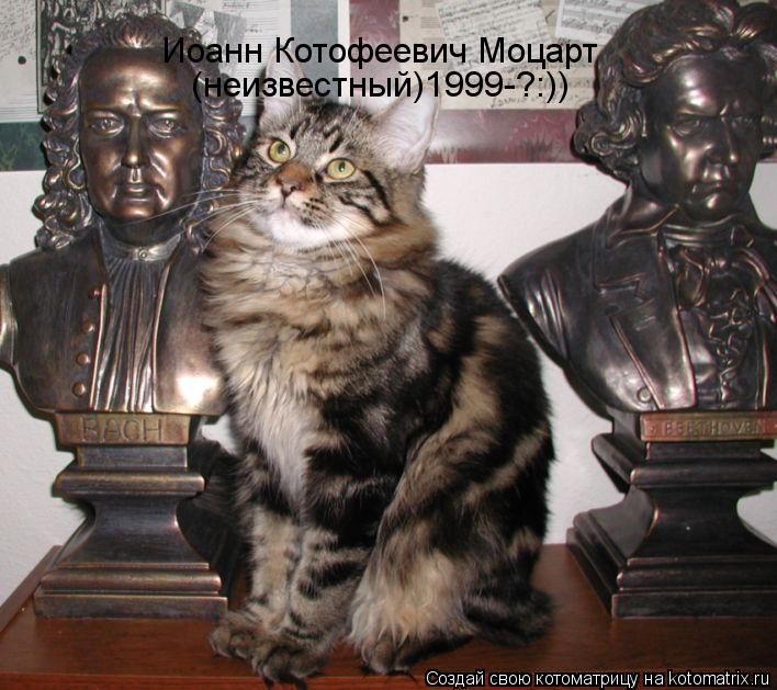 Иоанн Котофеевич Моцарт (неизвестный)1999-?:))... Котоматрица: Иоанн Котофеевич Моцарт (неизвестный)1999-?:))