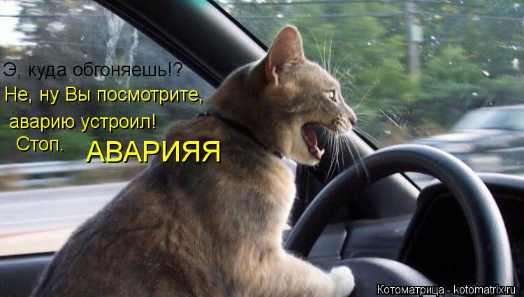 Э, куда обгоняешь!? Не, ну Вы посмотрите, аварию устроил! Стоп. АВАРИЯЯ... Котоматрица: Э, куда обгоняешь!? Не, ну Вы посмотрите, аварию устроил! Стоп. АВАРИЯЯ