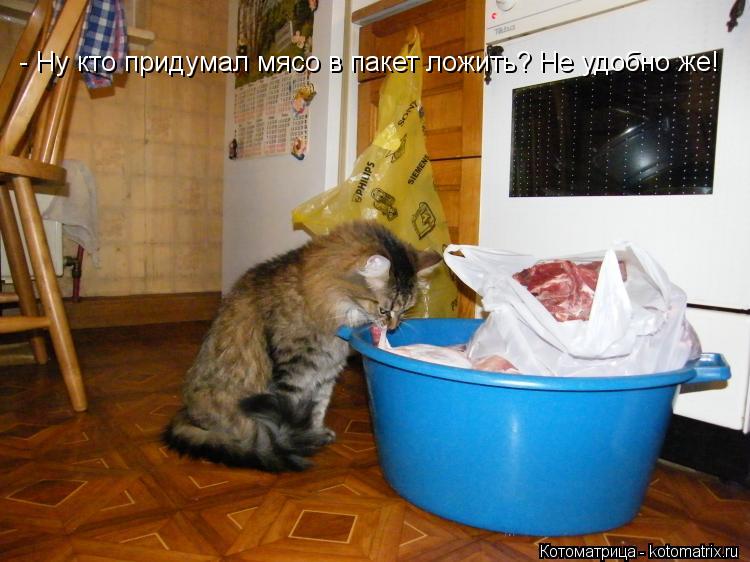 - Ну кто придумал мясо в пакет ложить? Не удобно же!... Котоматрица: - Ну кто придумал мясо в пакет ложить? Не удобно же!