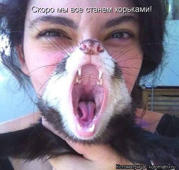 Скоро мы все станем хорьками!... Котоматрица: Скоро мы все станем хорьками!