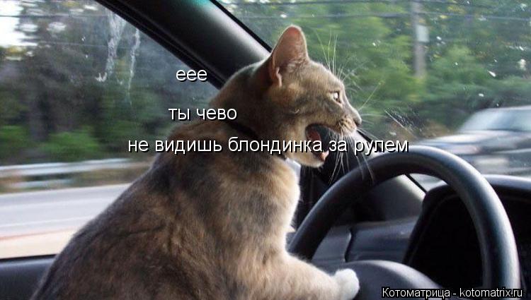 еее ты чево не видишь блондинка за рулем... Котоматрица: еее ты чево не видишь блондинка за рулем