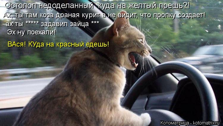Остолоп недоделанный куда на желтый прешь?! Ах, ты там коза драная курит а не видит, что пропку созд... Котоматрица: Остолоп недоделанный куда на желтый прешь?! Ах, ты там коза драная курит а не видит, что пропку создает! ах ты ***** задавил зайца *** Эх ну поех