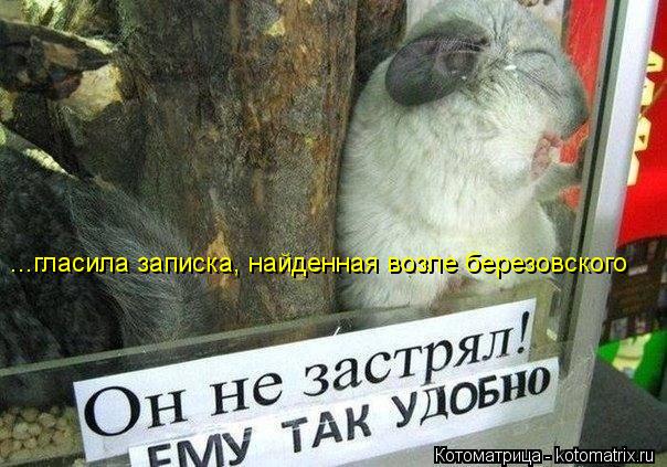 ...гласила записка, найденная возле березовского... Котоматрица: ...гласила записка, найденная возле березовского
