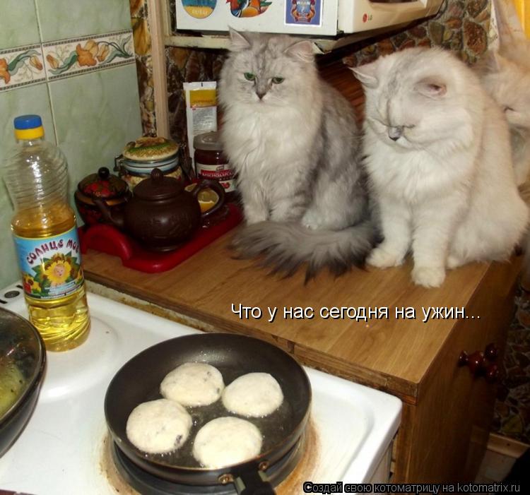 Что у нас сегодня на ужин...... Котоматрица: Что у нас сегодня на ужин...