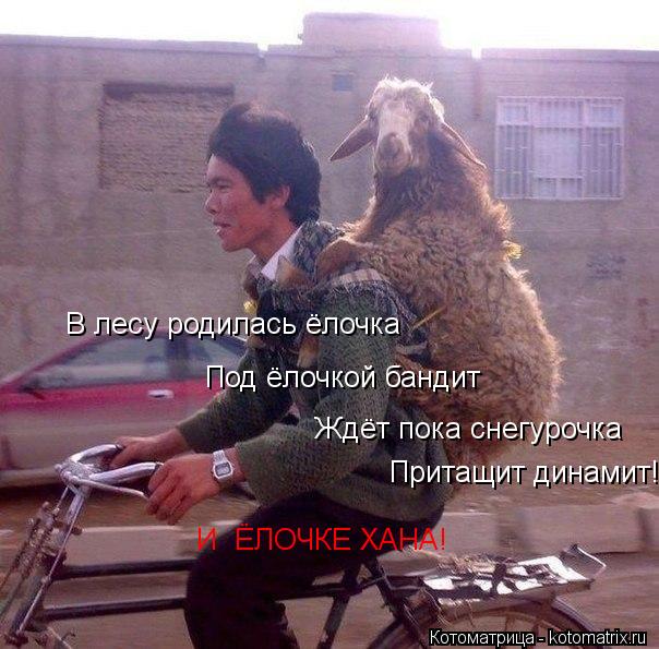 В лесу родилась ёлочка Под ёлочкой бандит Ждёт пока снегурочка Притащит динамит! И ЁЛОЧКЕ ХАНА!... Котоматрица: В лесу родилась ёлочка Под ёлочкой бандит Ждёт пока снегурочка Притащит динамит! И ЁЛОЧКЕ ХАНА!