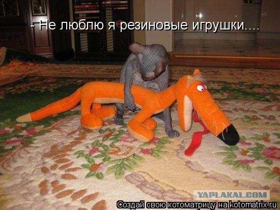 - Не люблю я резиновые игрушки....... Котоматрица: - Не люблю я резиновые игрушки....