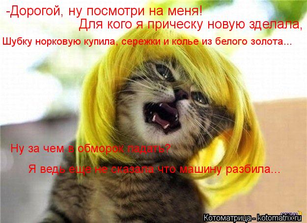-Дорогой, ну посмотри на меня! Для кого я прическу новую зделала, Шубку норковую купила, сережки и к... Котоматрица: -Дорогой, ну посмотри на меня! Для кого я прическу новую зделала, Шубку норковую купила, сережки и колье из белого золота... Ну за чем в обморо