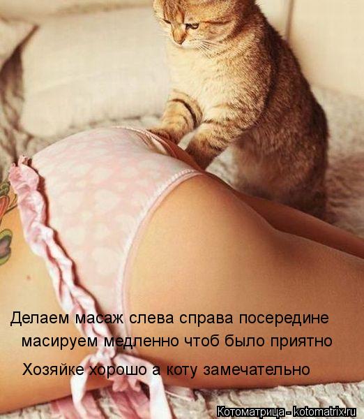 Делаем масаж слева справа посередине масируем медленно чтоб было приятно Хозяйке хорошо а коту замеча... Котоматрица: Делаем масаж слева справа посередине масируем медленно чтоб было приятно Хозяйке хорошо а коту замечательно