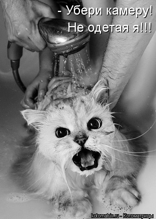 - Убери камеру! Не одетая я!!!... Котоматрица: - Убери камеру! Не одетая я!!!
