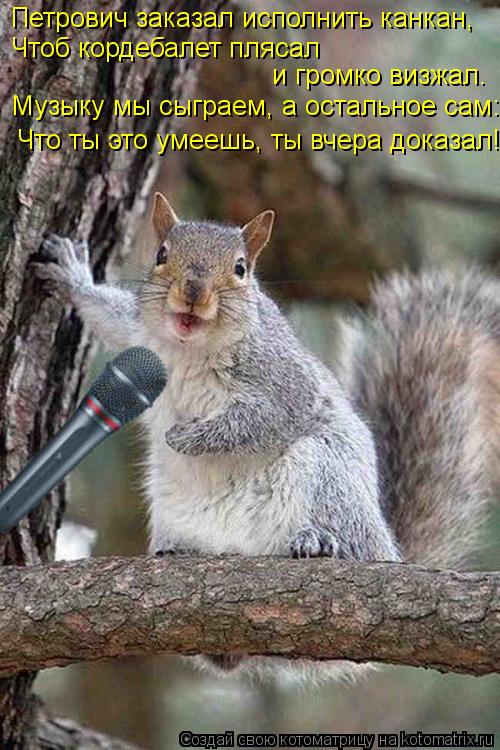 Петрович заказал исполнить канкан, Чтоб кордебалет плясал и громко визжал. Что ты это умеешь, ты вч... Котоматрица: Петрович заказал исполнить канкан, Чтоб кордебалет плясал и громко визжал. Что ты это умеешь, ты вчера доказал! Музыку мы сыграем, а остал
